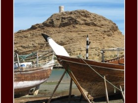 صور من ابداع اعضاء عمان فوتو