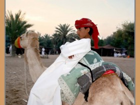 صور من ابداع اعضاء عمان فوتو