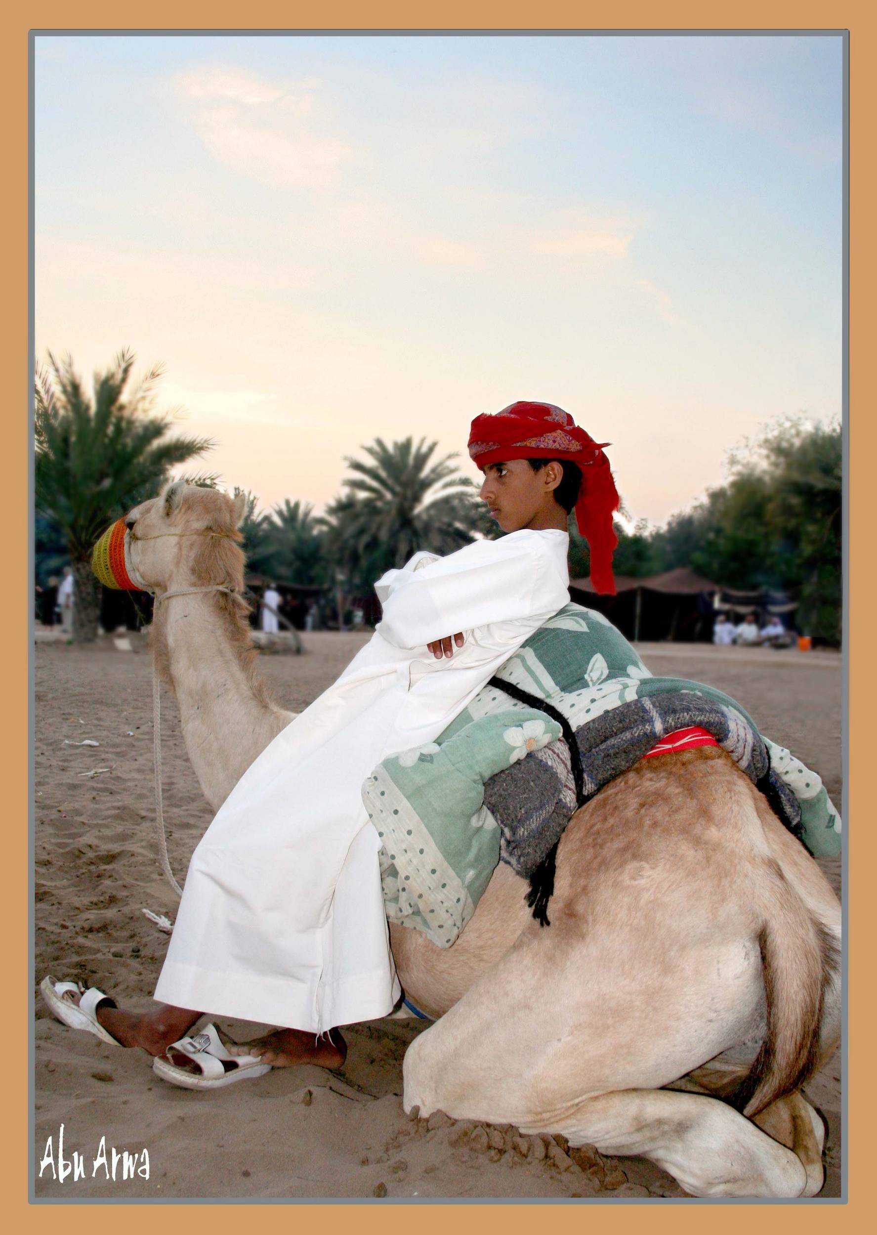 صور من ابداع اعضاء عمان فوتو