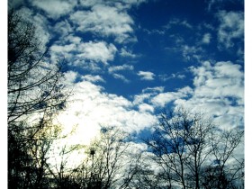 Nature_by_Biosintes1