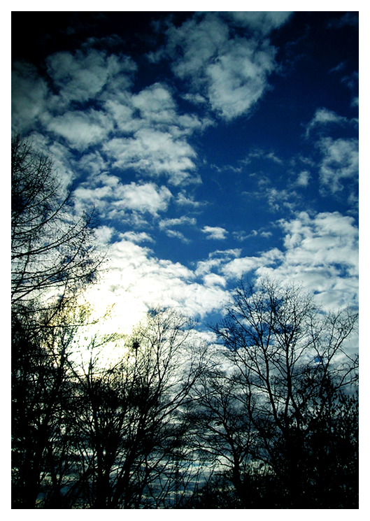 Nature_by_Biosintes1