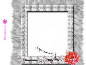 331