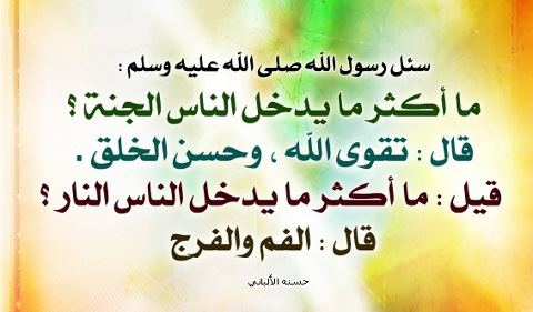 295648_10151285269675493_901651445_n