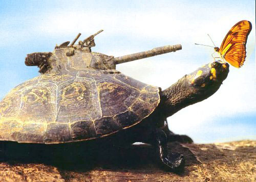 a22