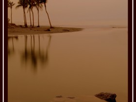 صور من ابداع اعضاء عمان فوتو