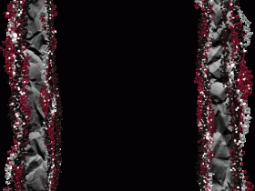 81269_1203305243