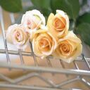 http://usera.ImageCave.com/A2LA/J0341654.JPG