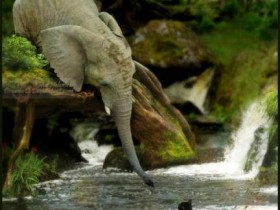 لا تيأس من رحمة الله