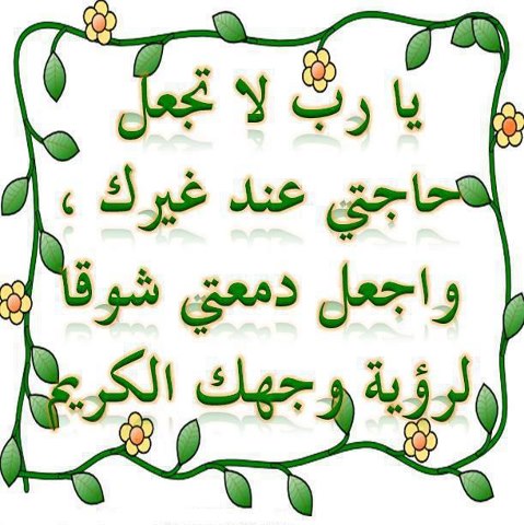 577346_10151298172642466_363435459_n