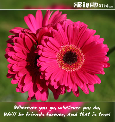 Friends forever card 3