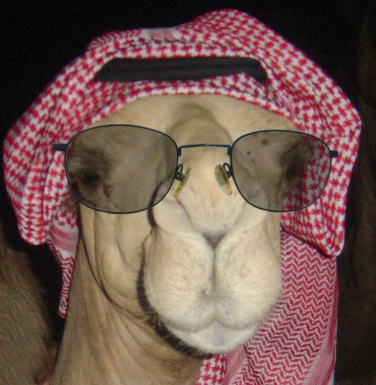 1423
