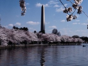 465313265_41e1de3a65_1_