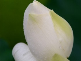 1564117-5acd00c23e65b607_1_