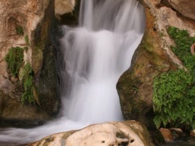 صور من ابداع اعضاء عمان فوتو