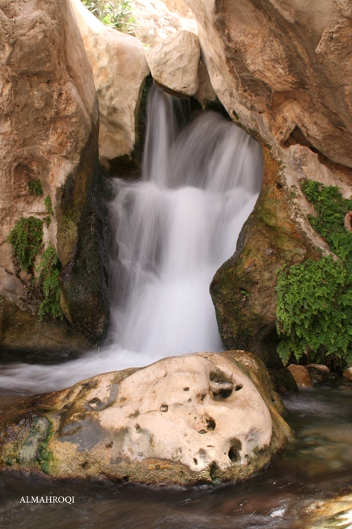 صور من ابداع اعضاء عمان فوتو