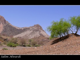 صور من ابداع اعضاء عمان فوتو