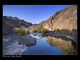 صور من ابداع اعضاء عمان فوتو