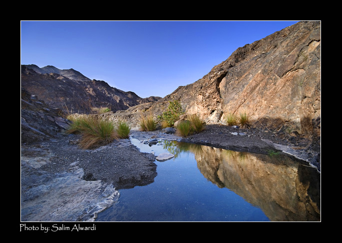 صور من ابداع اعضاء عمان فوتو
