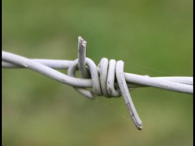صور منوعة من الإنترنت