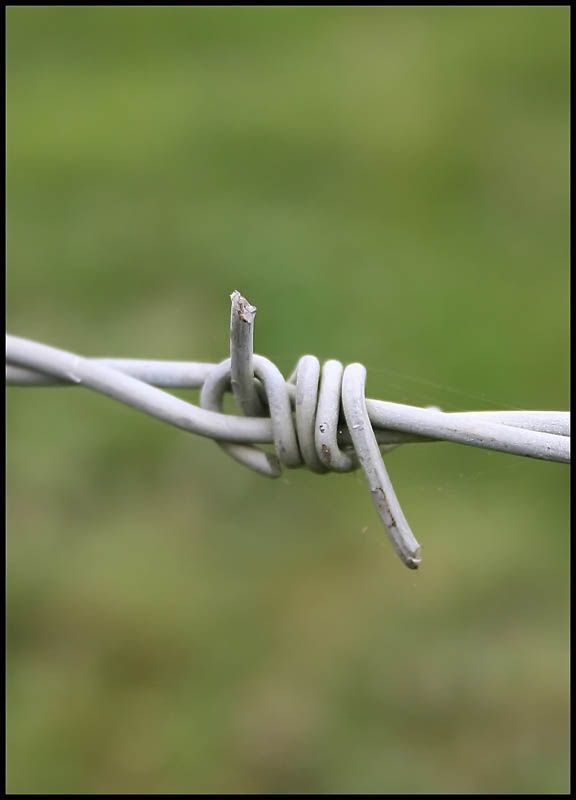 صور منوعة من الإنترنت
