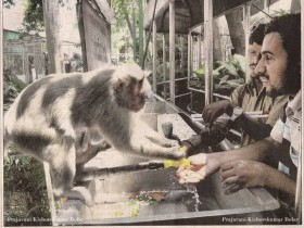 في منطقة في الهند ذهب شخصان ضريران