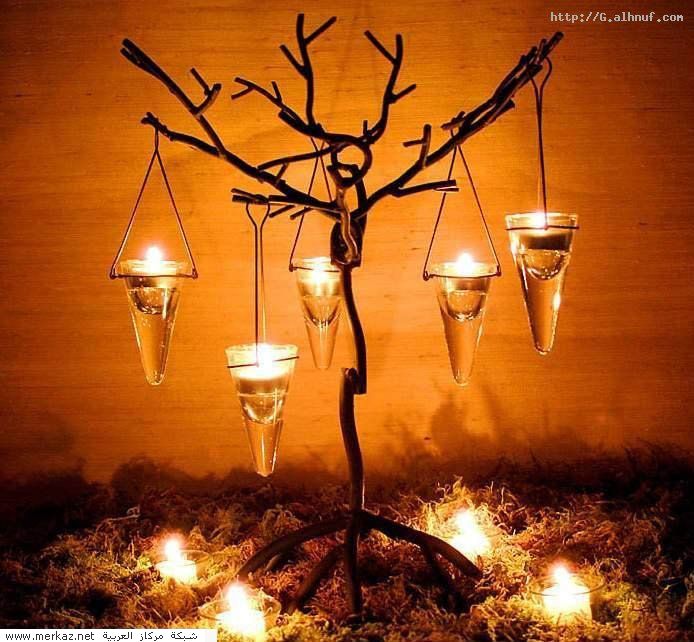 nice_pic_design_photo_41_1_