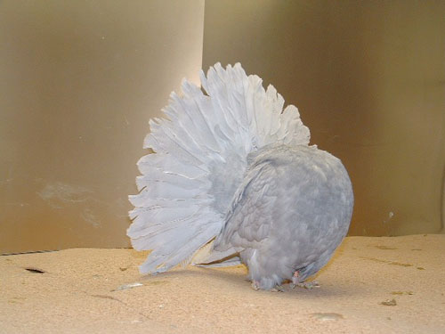 w6w_200505231855090df5fcb5_1_