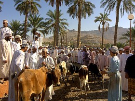 صور من ابداع اعضاء عمان فوتو