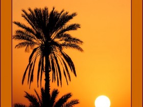 صور من ابداع اعضاء عمان فوتو
