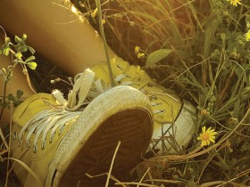 Taste_of_spring_by_vampire_zombie
