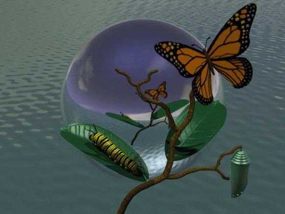 METAMORF