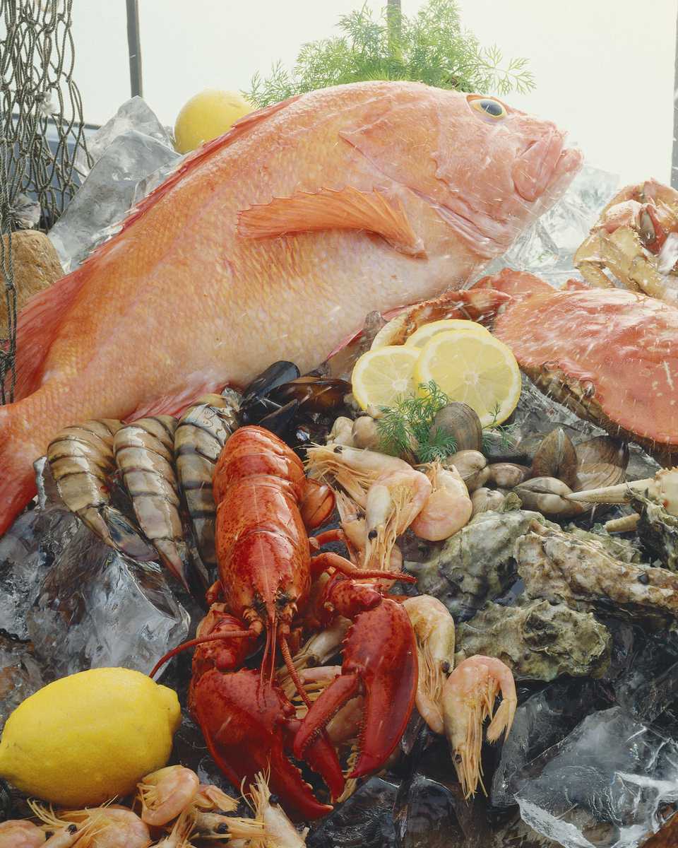 أنواع ,اشكال