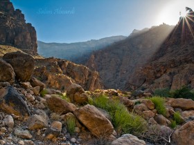 صور من ابداع اعضاء عمان فوتو