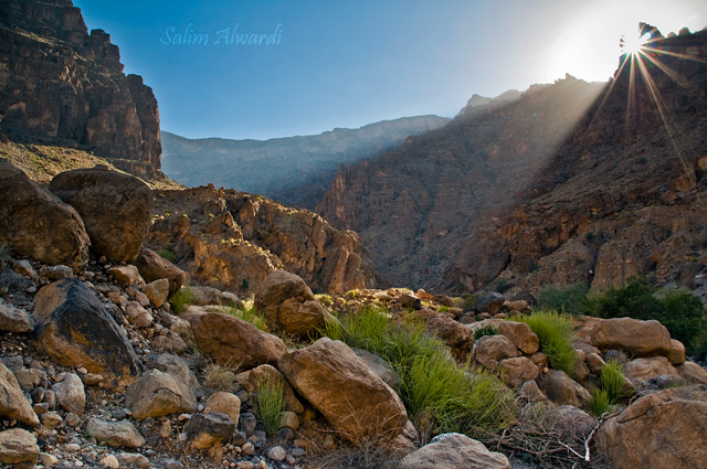 صور من ابداع اعضاء عمان فوتو