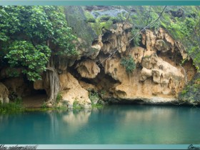صور من ابداع اعضاء عمان فوتو