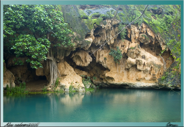 صور من ابداع اعضاء عمان فوتو