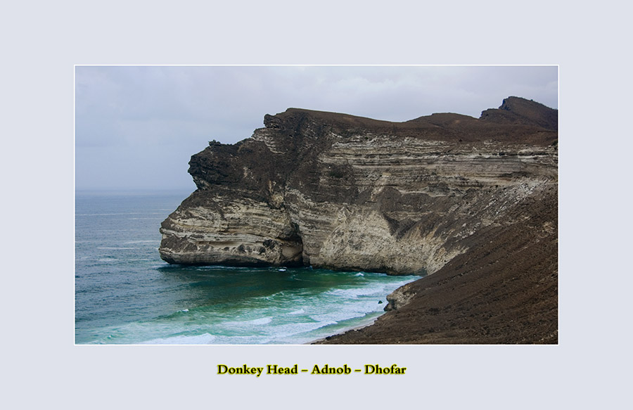 صور من ابداع اعضاء عمان فوتو