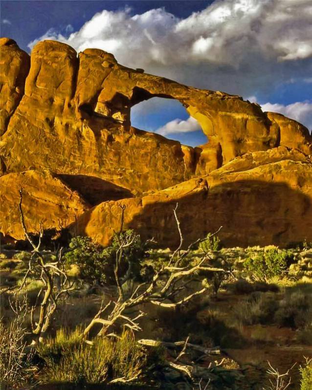 صور منوعة من الإنترنت