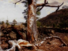 صور منوعة من الإنترنت