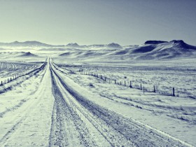صور منوعة من الإنترنت