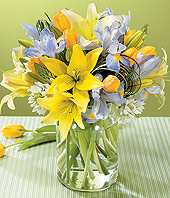 صور الطبيعة