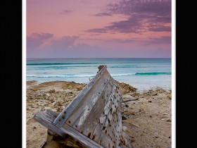 صور من ابداع اعضاء عمان فوتو