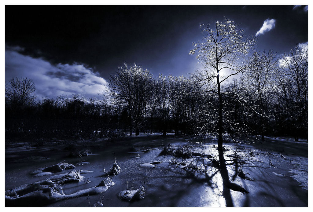 Mother_Nature_by_aquapell