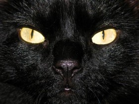 عيون الناس ما ترحم وكلامهم بعد !!!