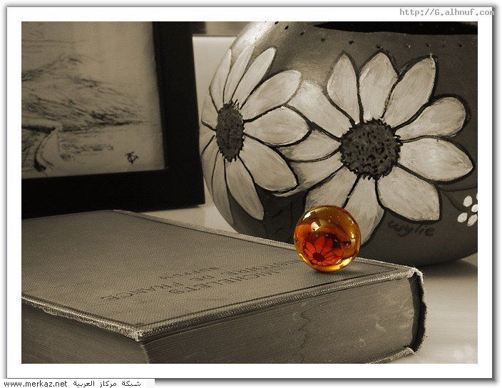 nice_pic_design_photo_69_1_
