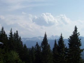 صور من ابداع اعضاء عمان فوتو