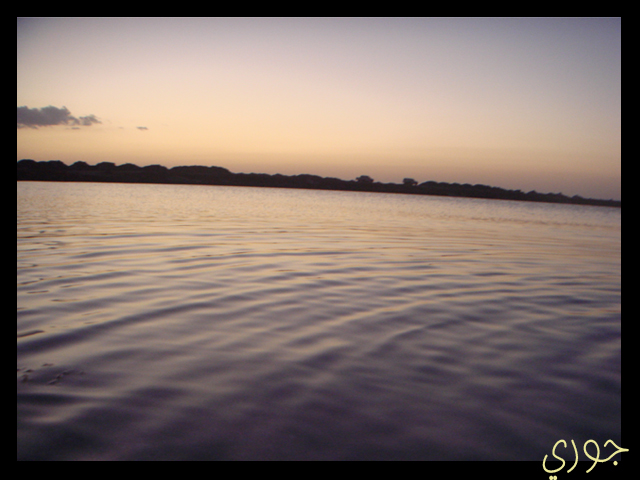 صور من ابداع اعضاء عمان فوتو