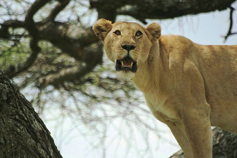 صور من ابداع اعضاء عمان فوتو