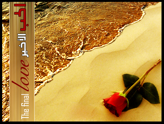 الحب الأخير......The final Love