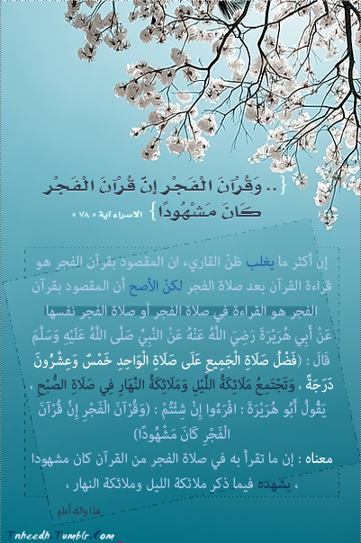 tumblr_mbwy8hLhhX1qjxypno1_500